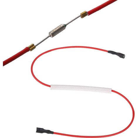 Fusible Thermique Universel Pour Cuiseur À Riz, 216°C 10A 250V Fusible Thermique Métallique Avec Doublure En Fibre De Verre Aux Deux Extrémités Pour Pièce De Réparation (1/5)