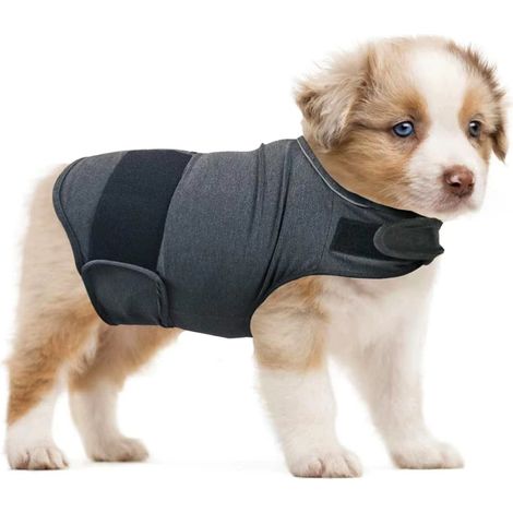 Veste anti-anxiété pour chiens - Fermeture Velcro ajustable - Gris chiné - Taille M