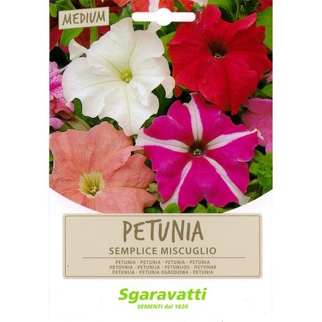 SEMI PER PRATO UNIVERSALE petunia semplice miscuglio Q.TA 10 petunia semplice miscuglio