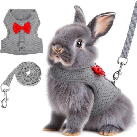 Beyamis Harnais lapin anti-fugue M - Maille respirante noeud papillon camping (1/5)
