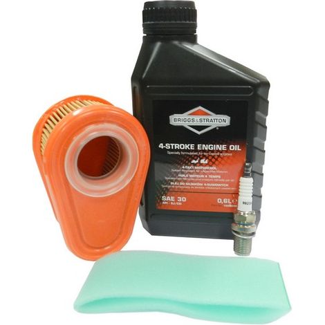Kit entretien moteur Briggs et Stratton Series 700, 750, DOV - 992234