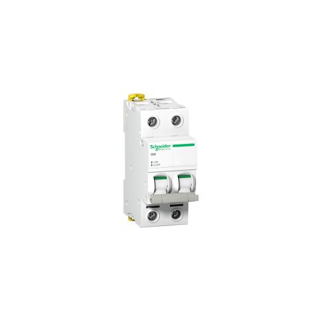 Interruttore sezionatore iSW 2P 125A - A9S65292