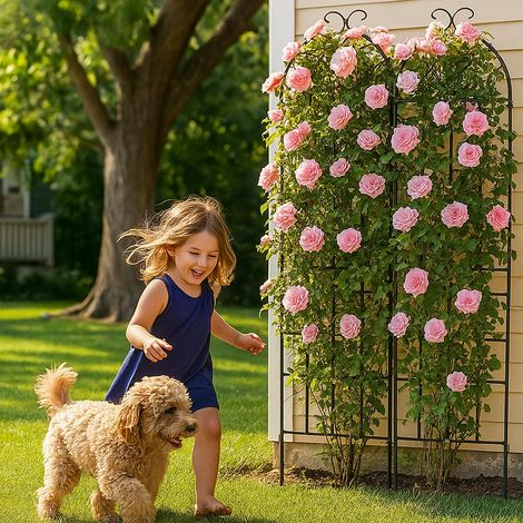 Lot de 2 treillis métalliques pour plantes grimpantes, support décoratif intérieur/extérieur pour pots, lianes, fleurs et légumes, écran de clôture de jardin en fer.