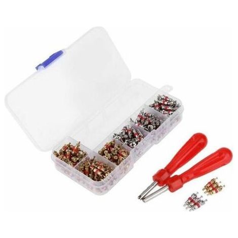 Démonte obus de valve Outil ,Outils pour Valves de Pneus Valve Core Remover et 242pcs Valve Core (1/5)