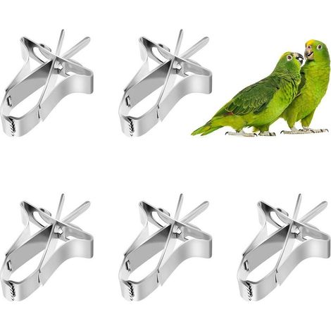 Lot de 5 mangeoires à oiseaux en acier inoxydable Support à clip pour seiche, jouet de recherche de nourriture, accessoires de cage pour hamster, calopsitte, perroquet et petits animaux (1/5)