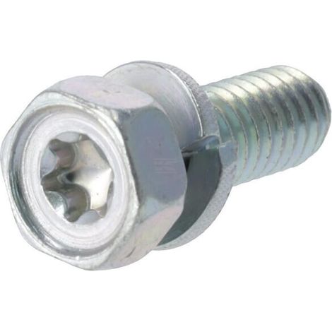 Vis BRIGGS & STRATTON 690341 (1/2)