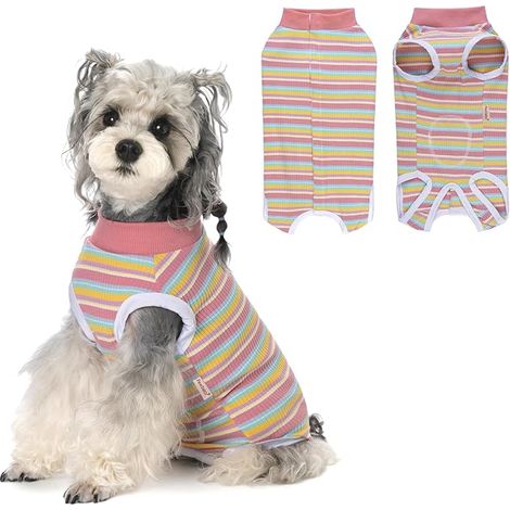 Recovery Suit for Female and Male Dogs, Purple, XL