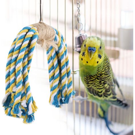 Jouet pour perroquet à mâcher, corde en coton suspendue, jouet pour perroquet (1/5)
