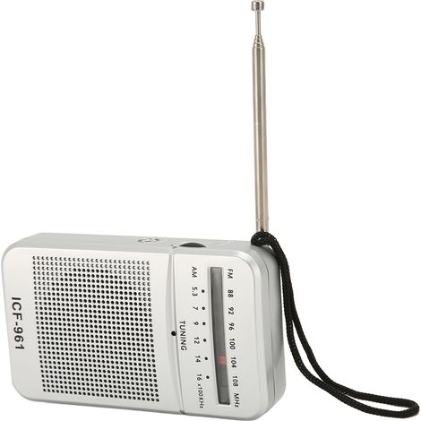 Radio AM/FM professionnelle haute sensibilité, formats MP3, WMA et WAV, mini radio de poche vintage pour les voyages et la maison. (1/5)