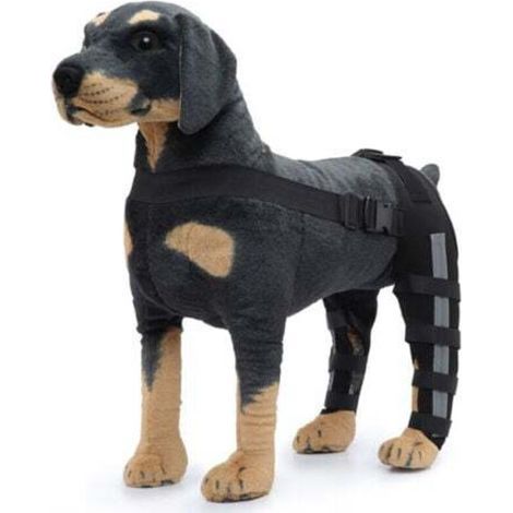 Genouillère pour chien – Taille S, double protection arrière contre l’arthrite et la luxation rotulienne, maintien chaud & soutien renforcé (1/5)