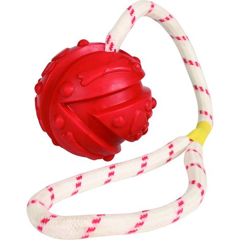 Jeu aquatique Balle sur corde, Dimensions: ø 7/35 cm, couleur aléatoire, pour votre chien.