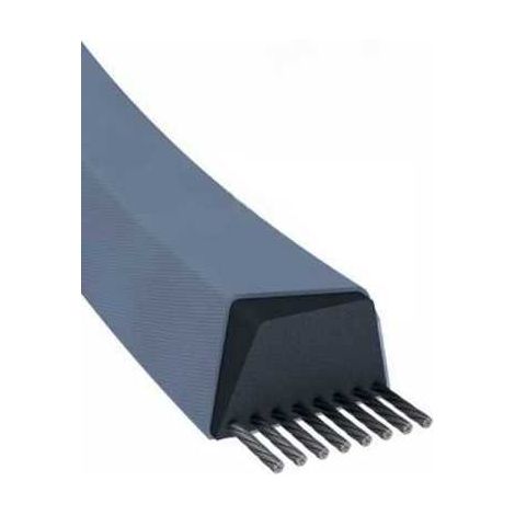 Courroie tondeuse Z36 trapézoïdale  10 x 952 mm (1/5)
