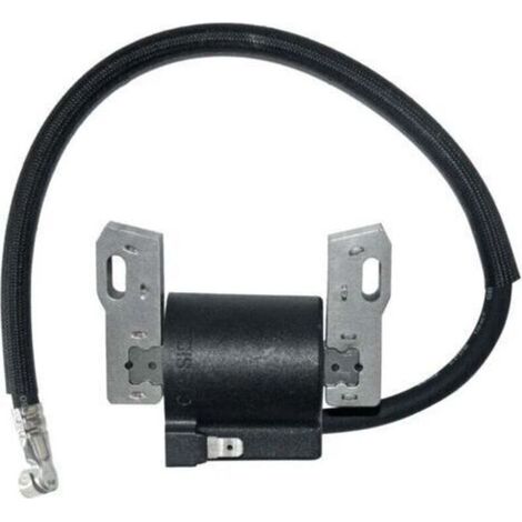Bobine d'allumage pour Briggs Stratton 591420 398593 496914 793281 792395 -.. (1/4)