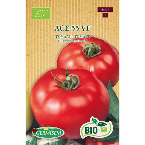 Graines Tomate ACE 55 VF