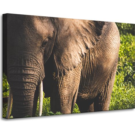 Leinwanddruck „Tiere, Elefant, Nahaufnahme“, 90 x 60 cm