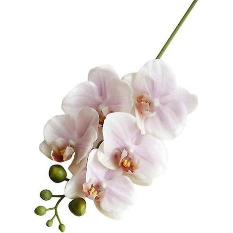 Fleur artificielle réaliste, flexible et attrayante, 5 têtes, imitation de fleur de Phalaenopsis. (1/5)