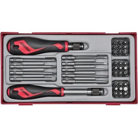 Juego de 38 puntas que incluye 2 destornilladores TENGTOOLS (1/3)