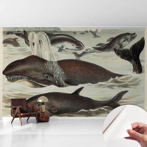 Papier peint autocollant adhésif avec imprimé motifs uniques apparence moderne Créatures marines 416x254 cm (1/5)