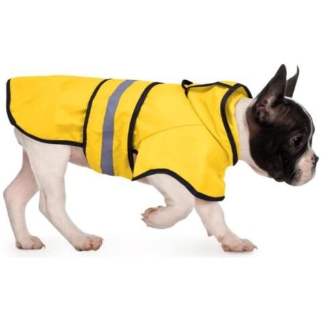 BUNTHAUS Manteau de Pluie à Capuche pour Chiens et Chiots de Petite à XL (Jaune, Taille S) (1/5)