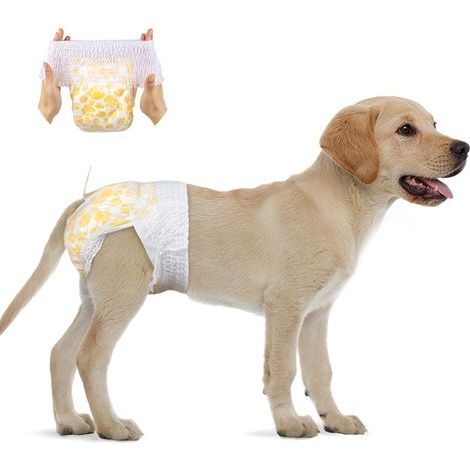 Couches jetables à traîner pour Chiens Femelles - Couches pour Chiens mâles avec Ceinture Extensible (Paquet de 15) - Convient à la Taille 34-54 cm Large (1/5)