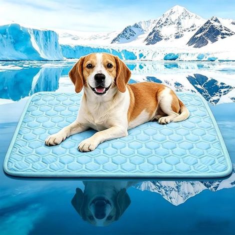 Tappetino rinfrescante per cani - Autoraffreddante - Antiscivolo - Lavabile - Portatile - 48 x 68 cm - Per cani e gatti - Uso esterno e interno (1/5)