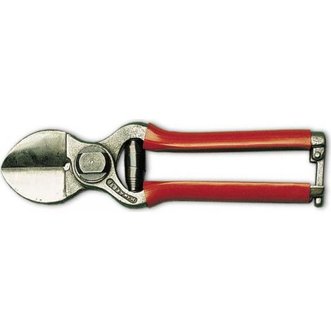 Forbici per Agrumi Lisam 210 mm 2 Tagli - Cf. In Scatola