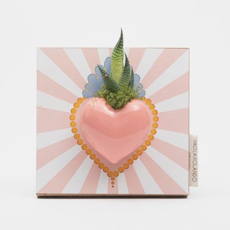 Succulenta e ceramica Made in Italy 13,5x14 Cuoricino Radiale - Rosa