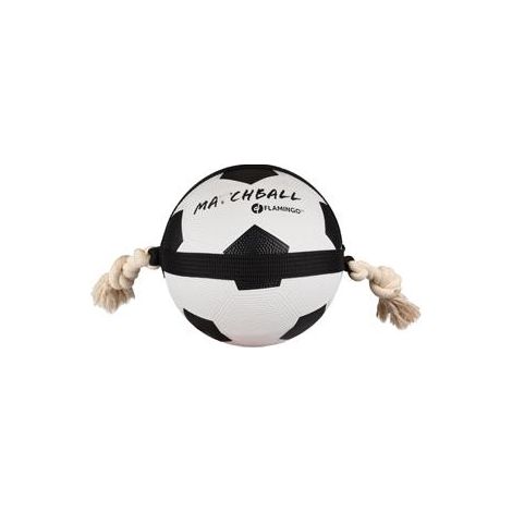 Action ball - Football, jouet pour chien Désignation : Action ball - Football  Taille : 22 cm MORIN IMPORT 750337 (1/2)