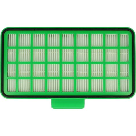 Filtre compatible avec Rowenta Silent Force Extreme Cyclonic RO8213EA/410, RO8213EA/411 aspirateur - Filtre HEPA (1/4)