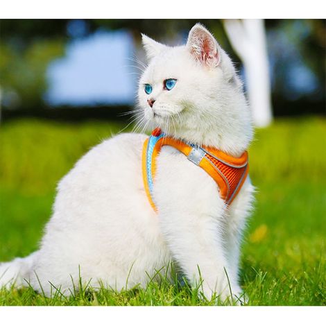 Hundeleine im Westenstil, Hunde- und Katzengeschirr, reflektierende und atmungsaktive Hundeführkette (S, orange) (1/4)