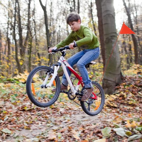 Sicherheitsflaggen-Set für Kinder-Mountainbikes, dreieckige Sicherheitsflagge mit Montagehalterung (1/5)