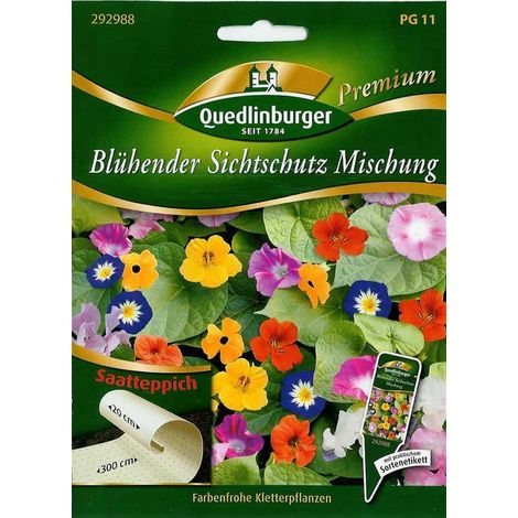Quedlinburger Blühender Sichtschutz Mischung Saatteppich - Blumensamen (1/2)