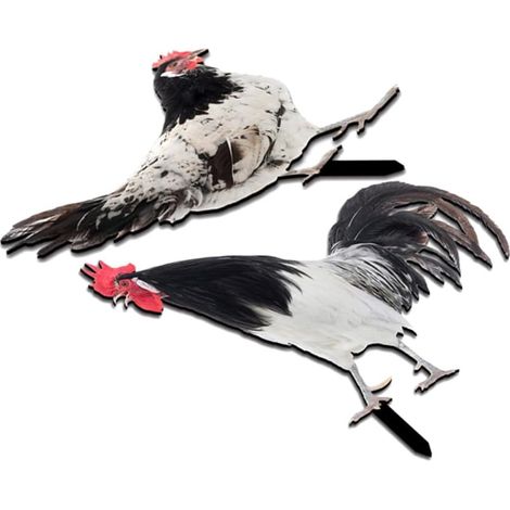 Stück Gartenhühnerhofschild aus Acryl für den Außenbereich