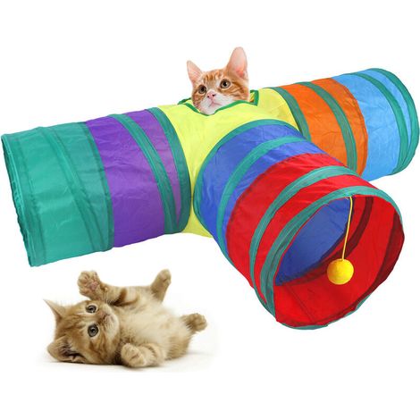 Tunnel interactif pour chats (1/5)