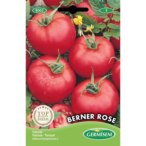 Graines Tomate BERNER ROSE (1/4)