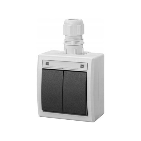Interrupteur double Aquant 5002-65 - Gris - Étanche IP65 - Matériaux de haute qualité - Interrupteur bistable (1/3)
