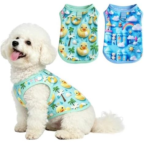 2 pièces été Hundekleidung, Blaue Ente et Kleine Bär Sonnenschutz chien, Atmungsaktives Hundeshirts pour Kleine Hunde (1/5)