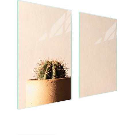 PIASTRA PROTETTIVA IN VETRO PER STUFA 75x52 CACTUS (1/5)