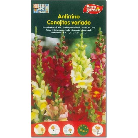 SEMILLAS FITO FLORES ANTIRRINO CONEJITOS VARIADOS=00505