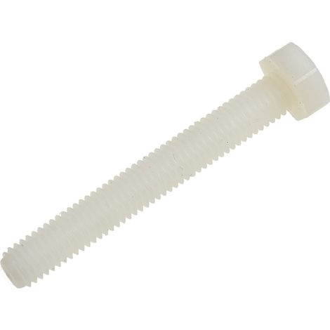 Vis à tête hexagonale Nylon, M8 x 60mm ( Prix pour Sachet de 50 )