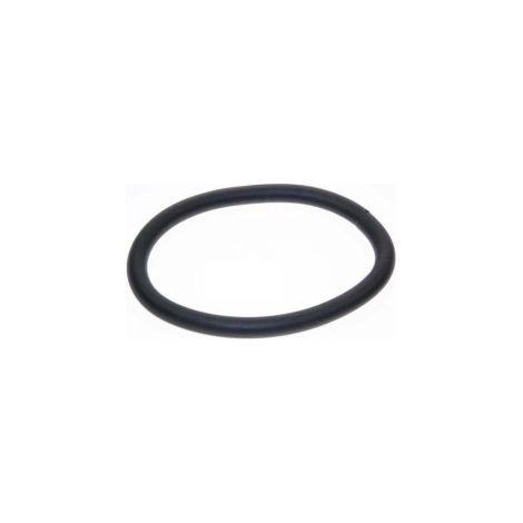 Guarnizione motore Ã¸ 100mm - Aspirapolvere - ROWENTA - 297592