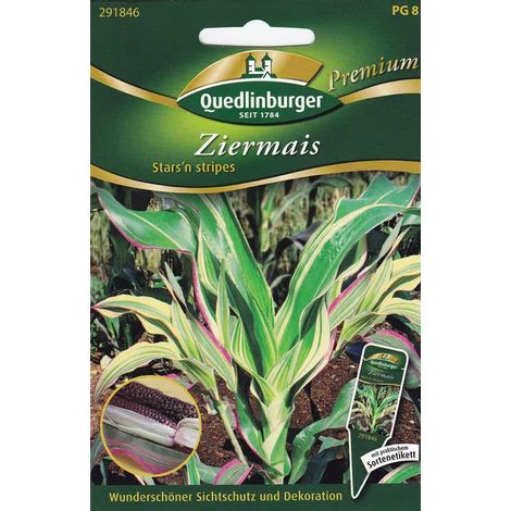 Quedlinburger Ziermais Stars'n stripes - Blumensamen (1/4)