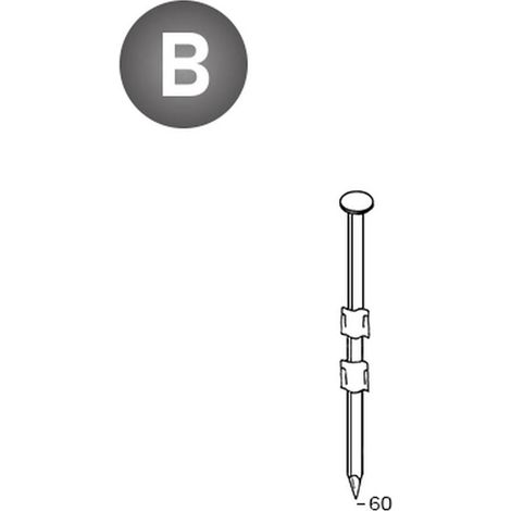 2 200 Pointes en Bande P.E 20° Lisses - 2.9x60 mm - D-Work (1/4)