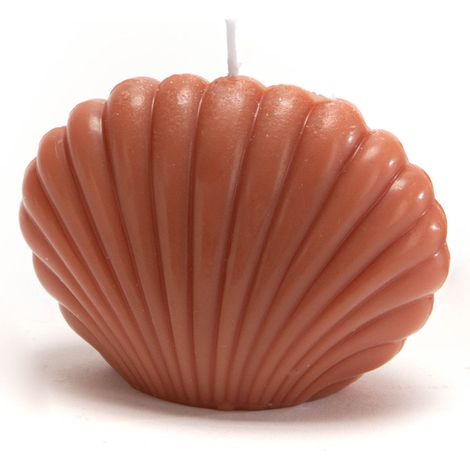 Amadeus - Bougie coquillage Terra (lot de 8) (1/2)