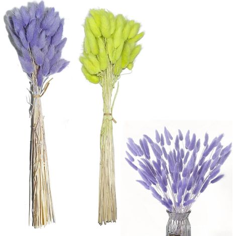 Petite Herbe à Queue de Lapin Pampa, Roseaux Séchés Verts et Violets (60 pcs) pour Vase et Déco (1/5)