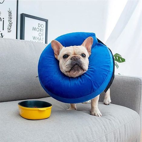 Collier conique gonflable pour chien et chat, collier animal souple et gonflable après, protection E collar avec boucle (1/4)