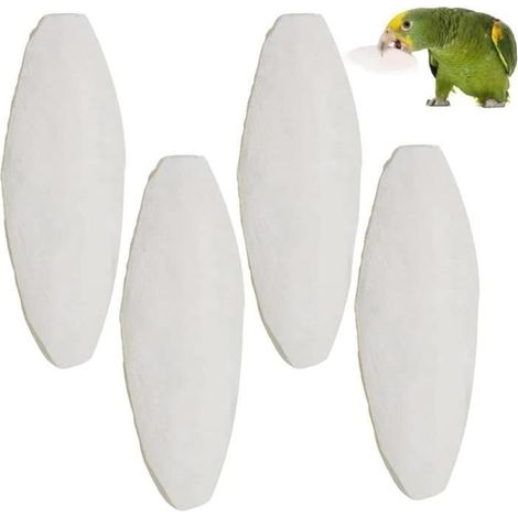 4pcs Oiseaux Os De Seiche,Os de Seiche Naturelle,Calcium À Mâcher Molaire pour Reptiles Tortue Escargots Petits Animaux,(12cm)
