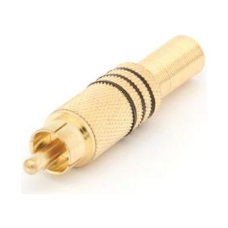 SPINA RCA MASCHIO - ORO - NERA