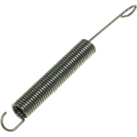 Muelle de Puerta para Lavavajillas Indesit y Ariston Modelos AF, D y IDL Recambio Original Código C00075689