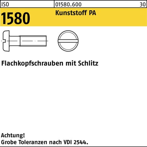 ISO 1580 Flachkopfschraube M6x16 Polyamid blank Schlitz 100 Stk